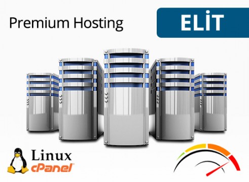 Elit Hosting Paketi (Aylık)